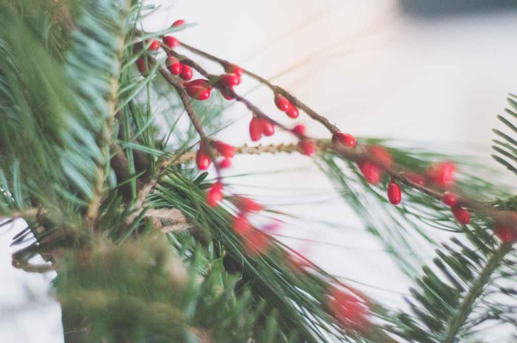 Getting Ready to Travel During the Holidays