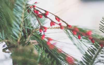 Getting Ready to Travel During the Holidays